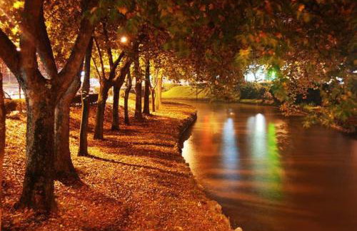 Παραδοσιακή πέτρινη κατοικία στην Βλάχα Ελάτης - Foto 48