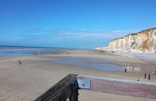 La Maison Des Sources ( wifi ) - Foto 46