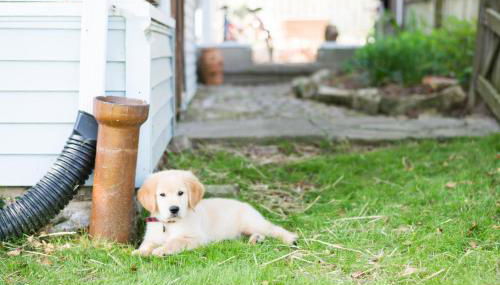 Artist Lane Cottage - Foto 2