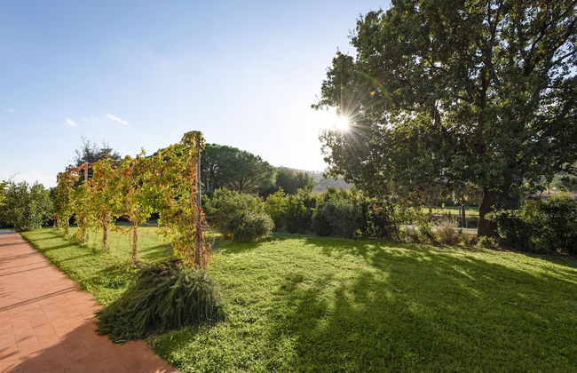 Agriturismo Terre di Castiglione - Foto 54