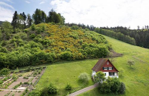 Ferienhaus 1 - Wohnung Fichte, 64qm - Foto 23