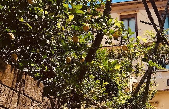 Accademia 39 - Foto 57