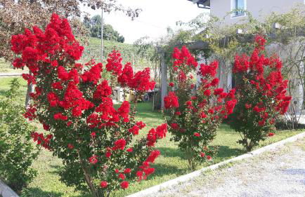 Casa Nalin - Photo 36