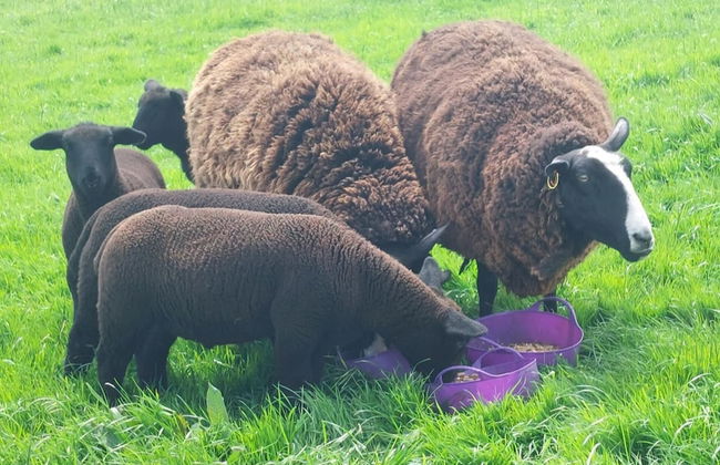 2 Bedroom Sleeps 4 Lodge-smart Tv-hot Tub-dogs Ok - Foto 13