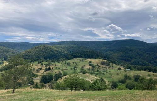 Ferienwohnung Kräutergarten - Foto 21