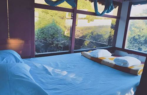 Sítio Piscina natural, Trilha e Cachoeira - Foto 25