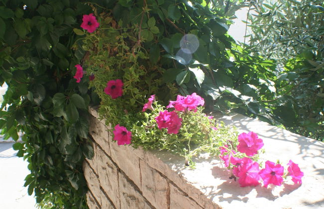 Apartments and Rooms LEA - Photo 74