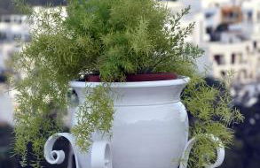 Dimora di Mezzo - Foto 6