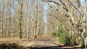 Gîte La Petite Roche - Photo 3