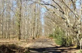 Gîte La Petite Roche - Foto 3