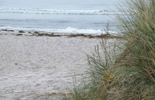 Flying Dutchman - Foto 6