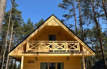 Domek wypoczynkowy Sosenka z sauną i jacuzzi - Foto 1