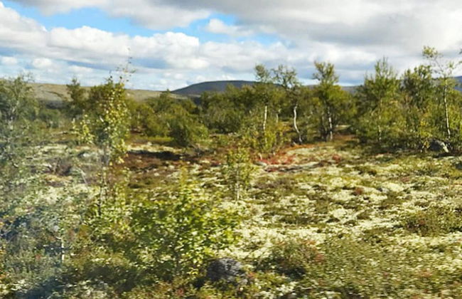 6 Person Holiday Home in Rendalen-by Traum - Foto 23