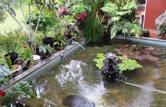 Vila Bunga Merah Gelatik - Photo 40