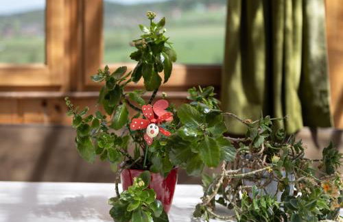 Ferienhaus in Bayern am Großer Arber - Foto 34