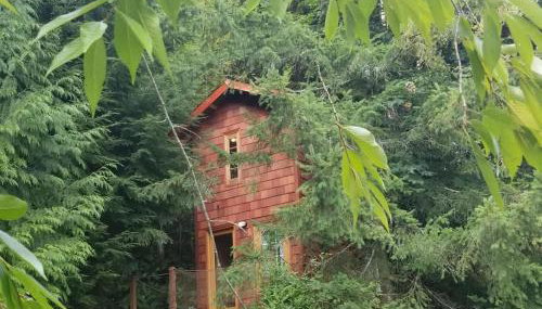 Treehouse Place at Deer Ridge Featured top 10 USA - Foto 4