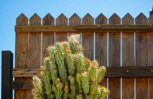 Takis House in Katavolos - Foto 34