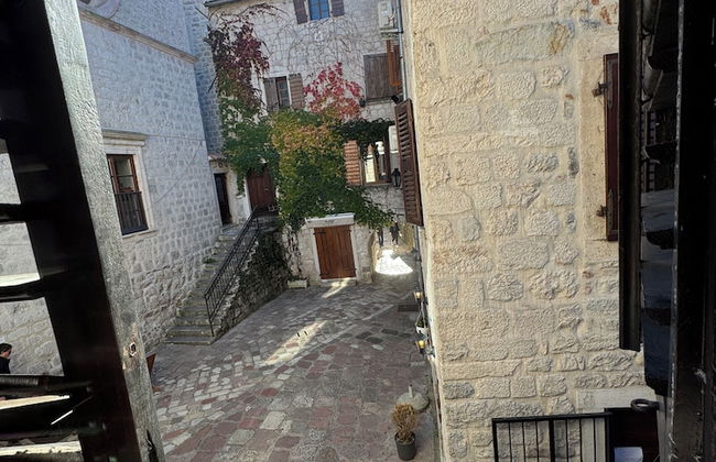 Vita Mundo - Foto 13