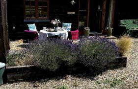 Cottage near Corfe & Jurassic Coast - Foto 14