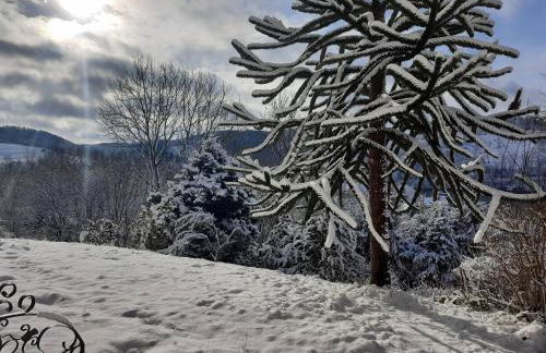 Wegfreiheit II - Foto 10