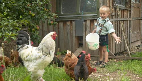 Ferienhof Off - Foto 3