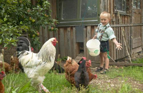 Ferienhof Off - Foto 3