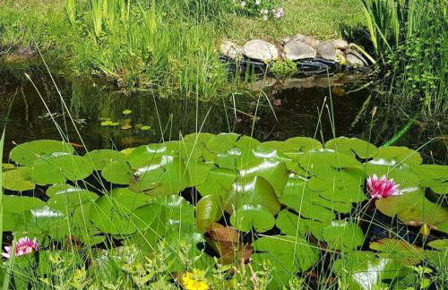 Holiday home with 3 bedrooms - Photo 12