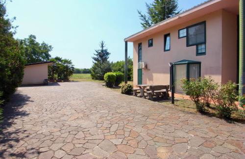 Società Agricola La Staccionata - Foto 2