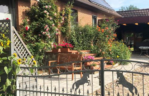 Ostseebauernhof Familie Jäger - Foto 18