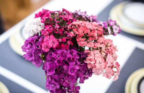 Apartman Angie in the centre of Metkovic - Foto 29