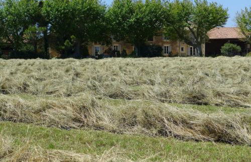 Lodge en Provence - Foto 19