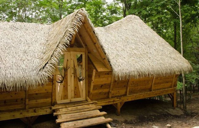 Parc Omega - Foto 22