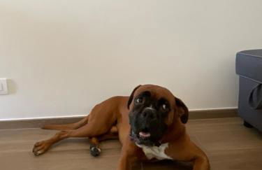 Settimo Cielo Apartment Aosta CIR 0199 - Foto 33