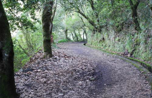 Sea & Mountain View Lombo de Cima House BBQ & Wifi - Foto 30