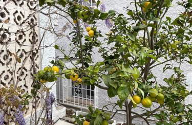 Villa Aleksandra - Foto 76