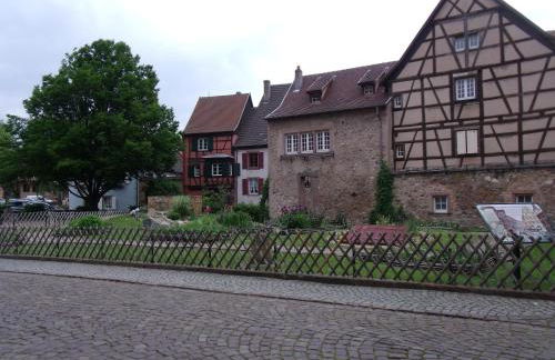 Studio La Grenouillère - Foto 7