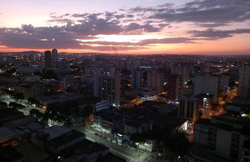 Flor do Cerrado - Foto 8