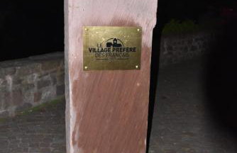 Le brin d'osier - Photo 26