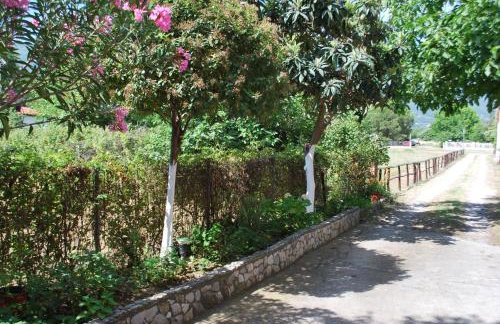 Apartments Stilos Ioannis - Foto 54