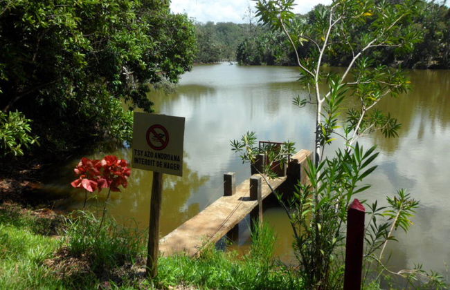 Parque Ivoloina y Visita a la Ciudad - Foto 3