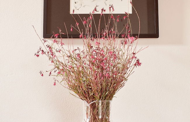 Diles & Rinies - Foto 67