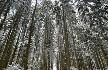 Schwarzwald - Modern mit Terrasse - Foto 5