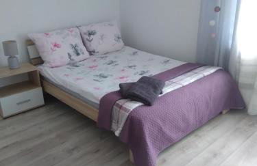 Noclegi U Janusza - Bieszczady - Photo 7