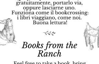 Agriturismo al Ranch - Foto 41