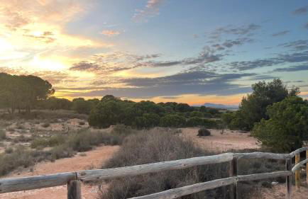 Casa De La Luna Torrevieja - Foto 25