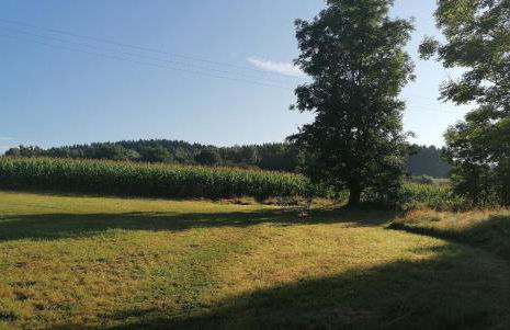 Ferienwohnungen Marienweiher - Foto 31