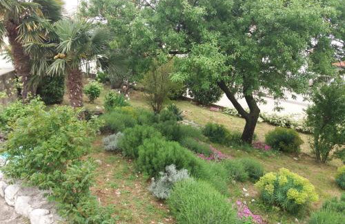 Nina SeaView - Photo 49