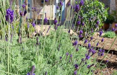 Kranidi House. - Foto 11