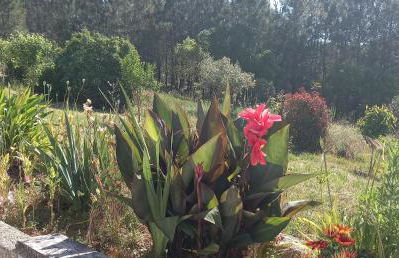 Quinta Do Centro - Foto 13