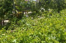 Studio apartment Sfinga - Photo 19